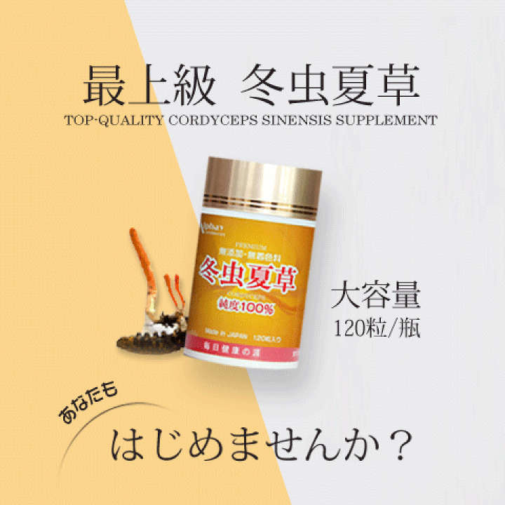 年末のプロモーション特価！ 楽天市場】冬虫夏草 100% 国際博覧会金賞受賞！虫草 120粒 健康・医学