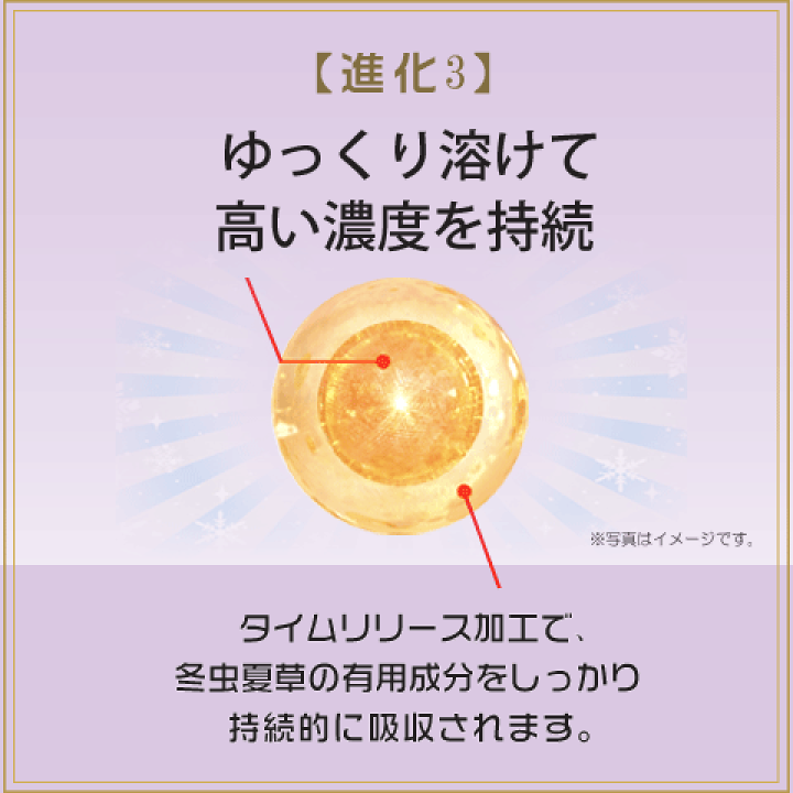 楽天市場】冬虫夏草 6箱セット 国際博覧会金賞受賞!虫草 楽天市場】冬虫夏草 6箱セット 国際博覧会金賞受賞!虫草