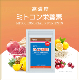 【初回限定半額キャンペーン】ミトコンドリア 妊活 サプリ 30日分 日本製 無添加 コエンザイムQ10 PQQ マカ カルニチン 亜鉛 葉酸 鉄分 ビタミンE ビタミンD