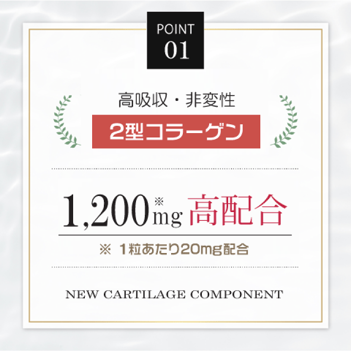 り（プロフ必読)さん専用 Amazon | セーラー万年筆 万年筆 プロフィットジュニア+10