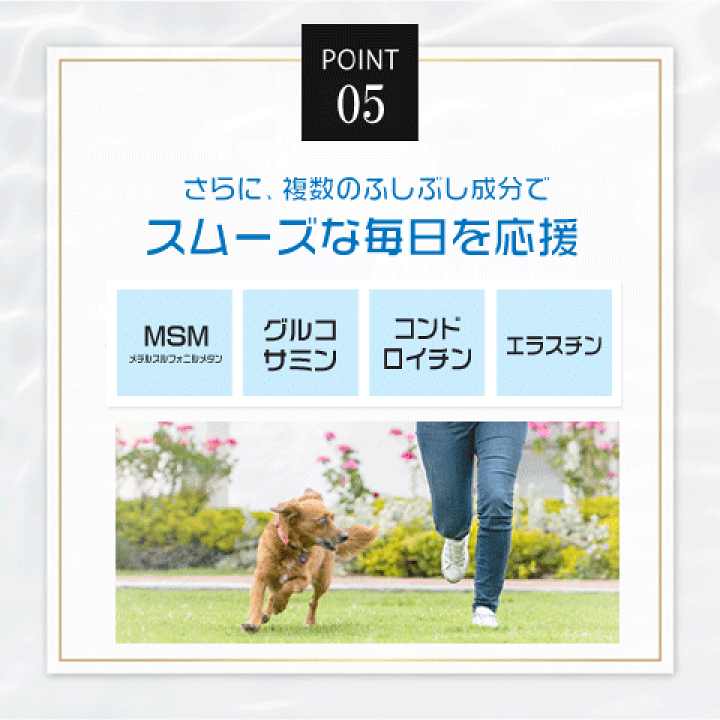 楽天市場】プロテオグリカン 3袋セット 日本製 軟骨 サプリ 2