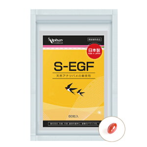 VR cȏ Tv 60 Y ΂߂̑ ̑ VA_  EGF q n q  ь r