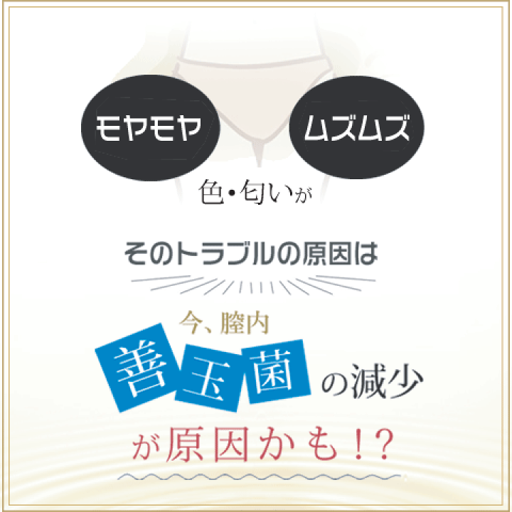 善玉菌 a10201-00.jpg?fitin=272:272
