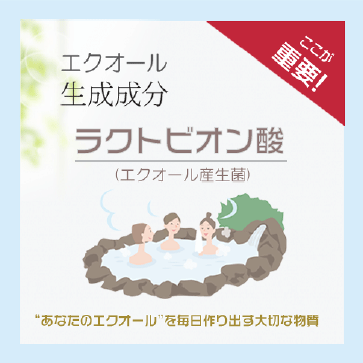 エクオール + ラクトビオン酸 90粒30日分×4袋セット 新品未開封 送料込 Amazon | エクオール N/ラクトビオン酸 (90粒 約1ヶ月分）【大人