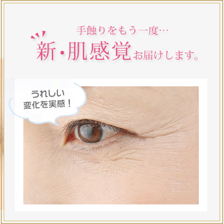 天然ツバメの巣 BI-SUエキスゼリースティック | 天然高級ツバメの巣【BI-SU】