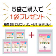 楽々 5袋＋1袋付 エクオール チェストツリー チェストベリー ヘム鉄 ストレスケア PMDD PMS 生理 生理不…