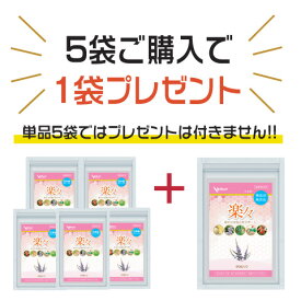 楽々 5袋＋1袋付 エクオール チェストツリー チェストベリー ヘム鉄 ストレスケア PMDD PMS 生理 生理不順 気分安定