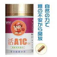 新発売！今話題の成分で糖の不安から解放【送料無料】イヌリン サラシア 桑葉 田七人参 菊芋 石蓮花 ゴー…