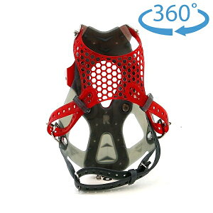 エムエスアール(MSR) WRビンディング A19 女性モデル右用