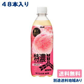 【アサヒ】三ツ矢 特濃ピーチスカッシュ PET 500ml x 48本 ( 24本入 x 2ケース ) 【送料無料】【別途送料地域あり】 桃 炭酸飲料 完熟果汁10%未満