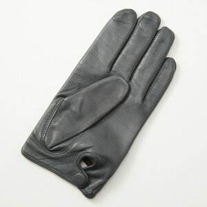 Y v V[vU[ rv ܖ{w Zߏ nt VN100  n[tsPDdグ 3TCY TCYWJ J[WJ ALTA CLASSE CAPRI GUANTI A^NbZJvKeB NVbN 