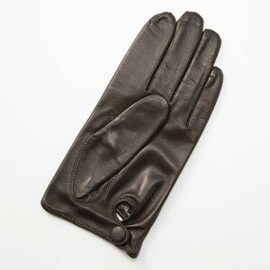 Y v V[vU[ rv ܖ{w Zߏ nt VN100  n[tsPDdグ 3TCY TCYWJ J[WJ ALTA CLASSE CAPRI GUANTI A^NbZJvKeB NVbN 