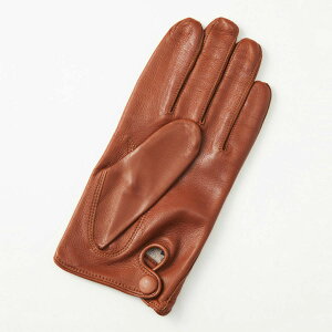 Y v V[vU[ rv ܖ{w Zߏ nt VN100  n[tsPDdグ 3TCY TCYWJ J[WJ ALTA CLASSE CAPRI GUANTI A^NbZJvKeB NVbN 