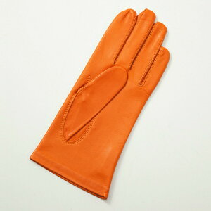 Y v V[vU[ rv ܖ{w n n[tsPDdグ 3TCY TCYWJ J[WJ ALTA CLASSE CAPRI GUANTI NVbN gbh h g  ʋ ʊw rWlX 