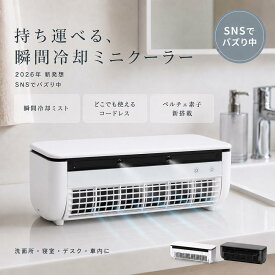 【2026最新★レビュー特典】エアコンファン、壁掛けエアコン 小型冷風扇 強力 ミスト加湿 工事不要 卓上/壁掛け式 充電と接続USB/110V 6000mAhバッテリー 30秒の急速冷却 省エネ 操作簡単 取り外して洗浄 オフィス、寝室、車、キッチンでの使用に適しています 暑さ対策