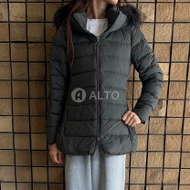 楽天市場】タトラス ダウン オリーブの通販