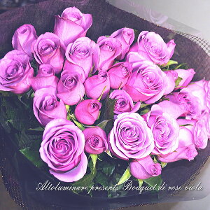 ̃o30{̉ԑ@  hV̓ Mtg t[Mtg LOMtg aj wj oYj Cj oYj  