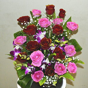 ؁IPõAWgiPo `fBA}e`jt[Mtg t[AWg AWgt[ ԃMtg j j j  KN  炫 