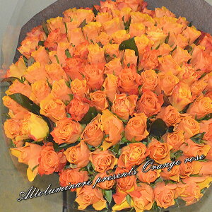 SIIW̃ỏԑ100{yyMt_zyyMt_bŹzyyMt_zyaj wj Cj oYj zyYDKGzySMTBzyԂ̑zF