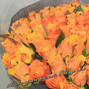 IW̃oԑ50{ hV̓ v[g Mtg t[Mtg LOMtg aj wj oYj Cj oYj  