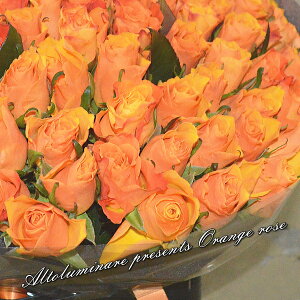 IW̃ỏԑ30{ S hV̓ v[g Mtg t[Mtg LOMtg aj wj oYj Cj oYj  