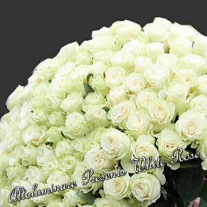 yzo100{̃u[PiԑjyyMt_zyyMt_bŹzyyMt_zyaj wj oYj Cj oYj zyYDKGzySMTBzyԂ