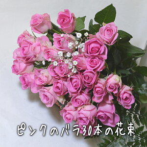 SIsÑo 30{̉ԑyyΉzyyMt_zyyMt_bŹzyỏԑ KN̉ԑ t[Mtg aj wj oYj oYj 