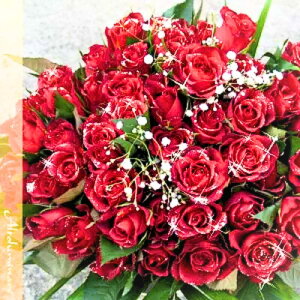 o ԑ Pԃo60{̃u[P v|[Y LO v[g җyyΉzyy_yjcƁzyyMt_bŹzyyMt_zyaj wj oYj 