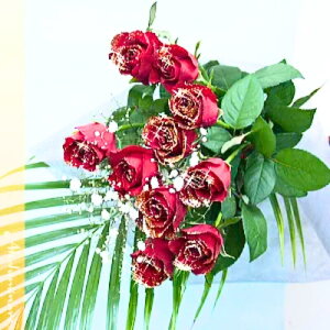 IPỏԑ ԃfBA}e[[10{yyΉzyy_yjcƁzyyMt_zyyMt_bŹzyyMt_zyaj wj oYj C