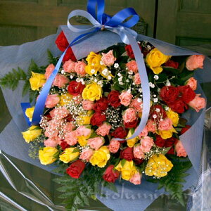 ~bNXJ[̃oԑ100{@S hV̓ v[g Mtg t[Mtg LOMtg aj wj oYj Cj oYj  