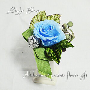 IAeB[NõAWg͂ȂԃvU[uht[yyΉzyy_yjcƁzyyMt_zyaj wj oYj zyYDKGz