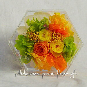 出産祝い 花 プリザーブドフラワーの人気商品 通販 価格比較 価格 Com