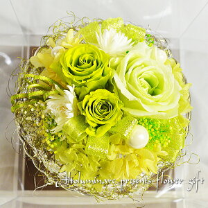 IõAWg͂ȂԃvU[uht[yyΉzyy_yjcƁzyyMt_zy̓@aj wj oYj zyYDKGzySMTBz