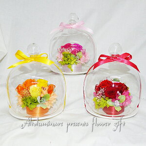 Io vU[uht[ KXh[ ͂Ȃ vU[uht[yyΉzyy_yjcƁzyyMt_zy̓@aj wj oYj 