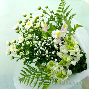 Iԑy΁zNCbN͂ yyΉzyy_yjcƁzyyMt_zyyMt_bŹzyyMt_zy  ~ ފ݁zyYDKGzySMTBzy