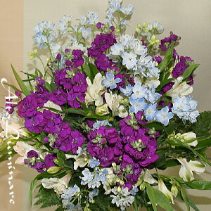 Ip  u[C[W ԃAWgNCbN͂   AW AWgt[ t[AWg ݉ ݂̉   