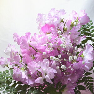 IuXC[gs[50{ԑvyyΉzyy_yjcƁzyyMt_zyyMt_bŹzyyMt_zyaj wj oYj Cj oYj 