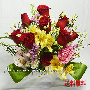 IõJbvAWgt[ j@΂ KN [Y a v[g 蕨 oYj j ؂₩  킢y