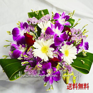 生花 デンファレの人気商品 通販 価格比較 価格 Com 生花 デンファレの人気商品 通販 価格比較 価格 Com