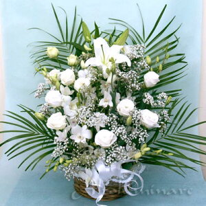 IAWg yyΉzyy_yjcƁzyyMt_zyyMt_bŹzyyMt_zy  ~ ފ zyYDKGzySMTBzyԂ̑