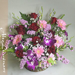 Ioƃft@̃AWg@΂ KN [Y a v[g 蕨 oYj j ؂₩  킢y