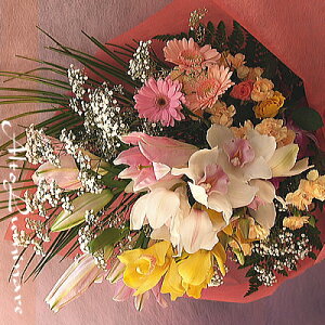 yNCbN͂zʉiԑiVsW[ jyyMt_zyyMt_bŹzyyΉ_ߋEzyyΉ_kCEkE֓EbMzEkECEߋEEEl