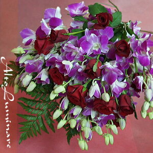 SIift@jƐ^ԂȃojAaALO