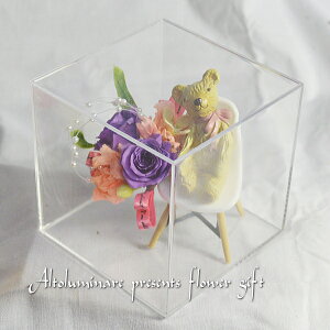 INX^P[X@õAWg͂ȂԃvU[uht[yyΉzyy_yjcƁzyyMt_zy̓@aj wj oYj 