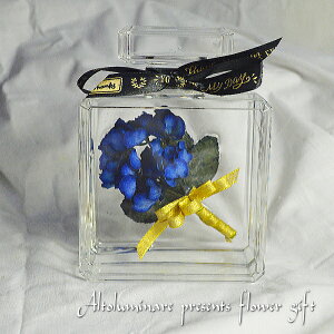 kCEE@IhCt[ uvt[u[v͂Ȃ P[X u[[Y ͂Ȃ u[ o  KN@t[Mtg av[g 蕨