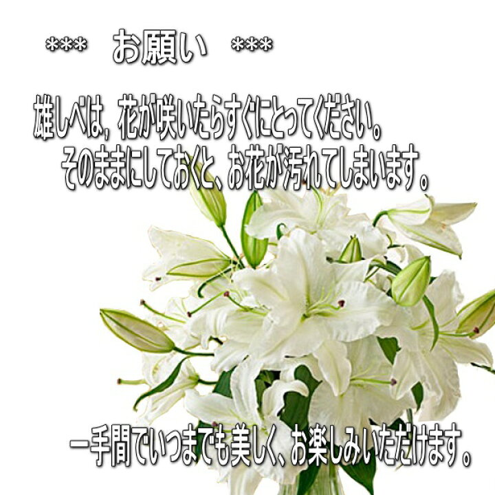 楽天市場 送料無料 ピンクのユリの花束 オリエンタルリリー ユリ ゆり 百合 生花 お花 花束 祝い花 お誕生日 プレゼント 贈り物 フラワーギフト おしゃれ かわいい 出産祝い お祝い 御祝い お供え花 御供え花 仏花 お悔やみ お悔み お悔やみの花 バラプレゼント