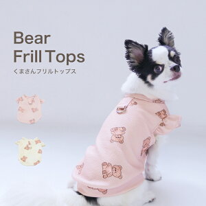    s[X hbOEFA  _炩 LkQ t L  ̎q j̎q ^  ̕ tp ĕ t  H ł 