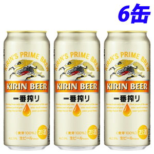 wll1ZbgxL ԍ 500ml×6 r[   ʃr[  ۂ