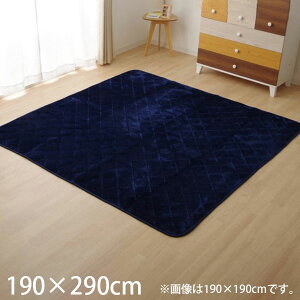 �C�P�q�R �t���� �L���g���O 190×290cm �l�C�r�[ KFR190290 [ �Ƌ� ���O �R�� �h�L �z�b�g�J�[�y�b�g�Ή� ���g�[�Ή� ]�w����s�x�w���������i�ꕔ�n�揜���j�x