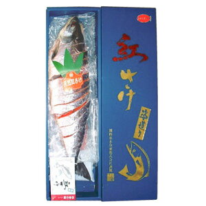 VRg 2kg ܂邲1 Ⓚwԕisxwsxwiꕔn揜jx